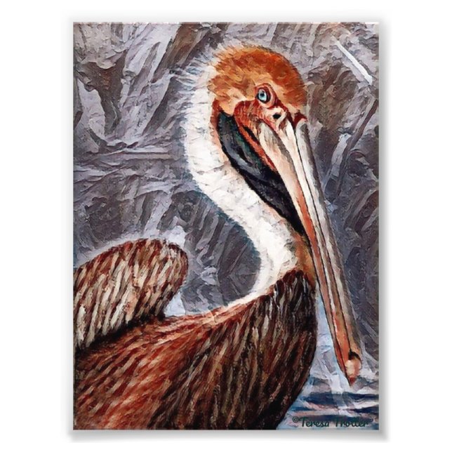 Foto Pelican Brief (Frente)