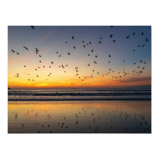 Foto Pelicanos em Sunset - Venice Beach, CA (Frente)