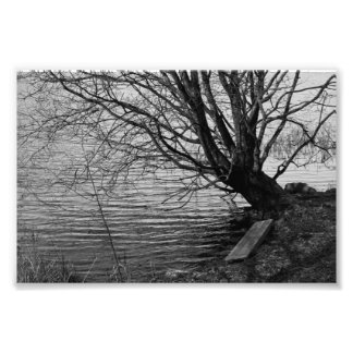 Foto Pelo lago