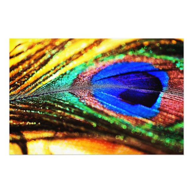 Foto Pena de Shirley Taylor (Frente)