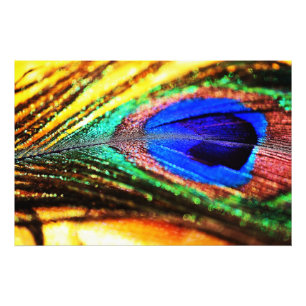 Foto Pena por Shirley Taylor