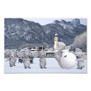 Foto Pengphants doces