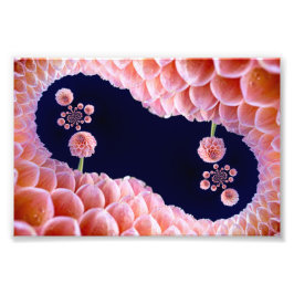 Foto pensamentos floridos