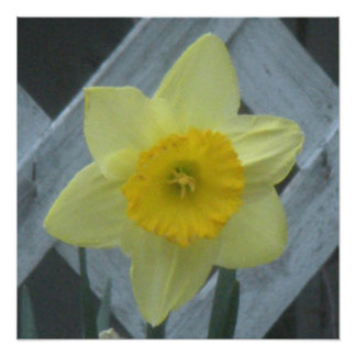 Foto Pense na Primavera!