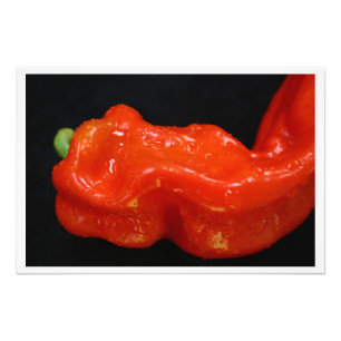 Foto Pepper Red Bell fresco