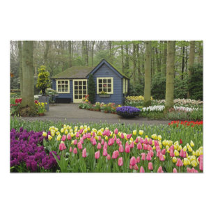 Foto Pequena cabana de loja de flores, Jardins Keukenho