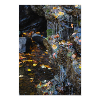 Foto Pequena Cascata Sobre Rochas