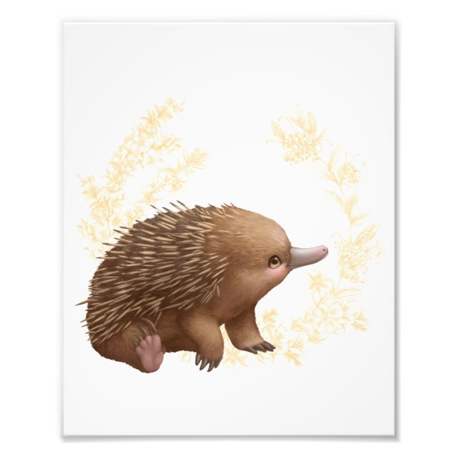 Foto Pequenos Amigos Aussie - Echidna (Frente)