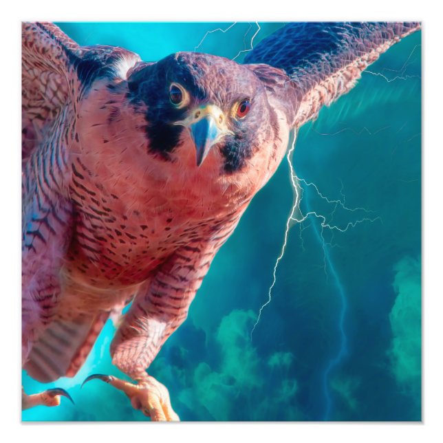 Foto Peregrine Falcon WINGS OF MERCURY (Frente)