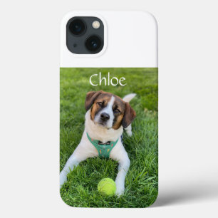 Foto Personalizada Adicione sua Imagem