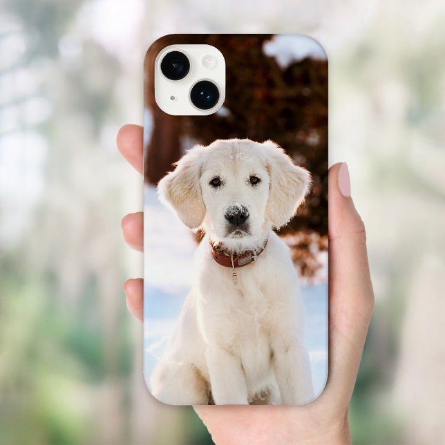 Foto personalizada de Pet (Criador carregado)