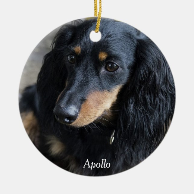 Foto personalizada do Enfeites de natal Dachshund (Frente)