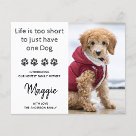 Foto personalizada do orçamento Novo anúncio de pa