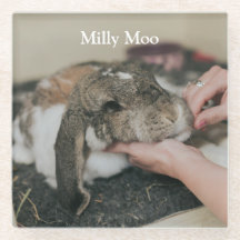 Foto personalizada Pet