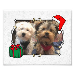 Foto personalizada Santa Hat Pet HO HO