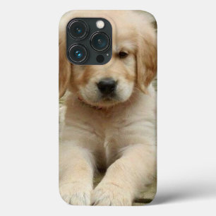 Foto personalizável