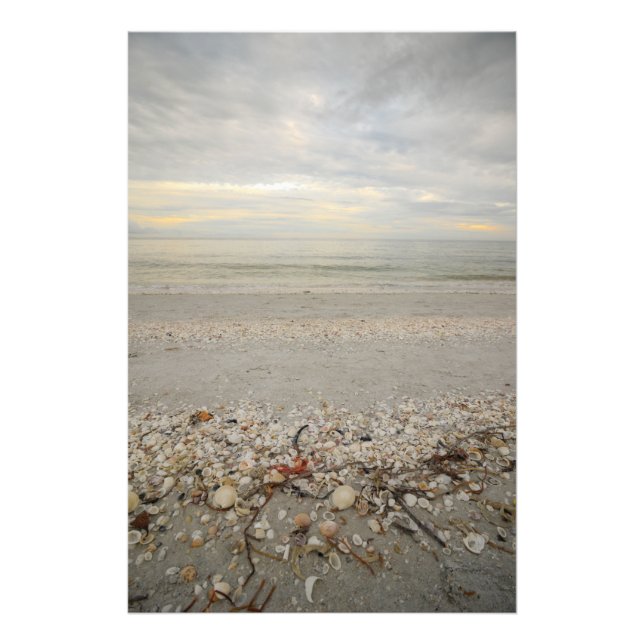 Foto Perspectivas da Ilha Sanibel (Frente)