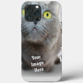 Foto PET ✨ adorável personalização