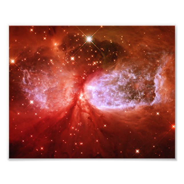 Foto Phoenix (Frente)