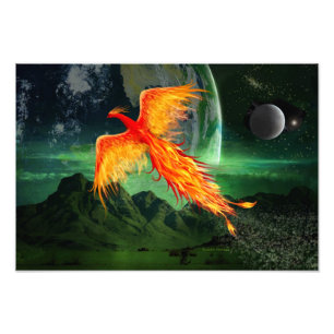 Foto Phoenix de voo alto