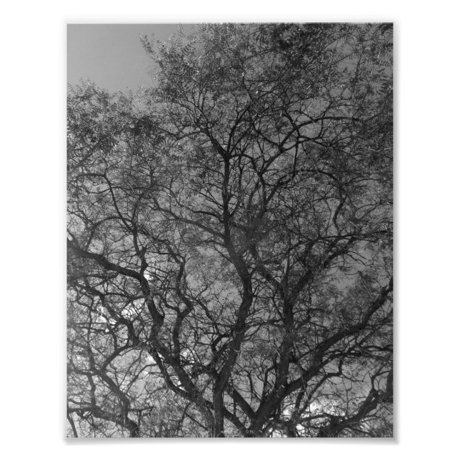 Foto Photo Enlargement (Frente)