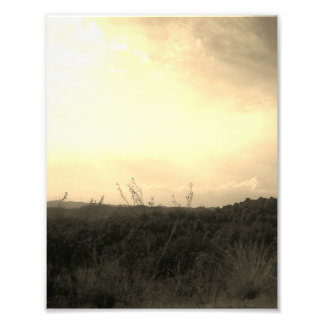 Foto Photo Enlargement