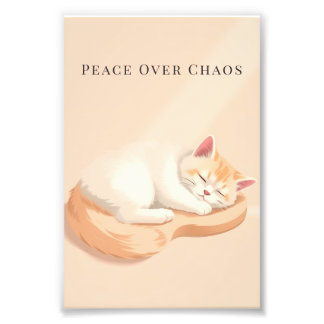 Foto Photo Enlargement