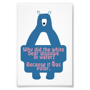 Foto Piada de Química Engraçada do Urso Polar Azul