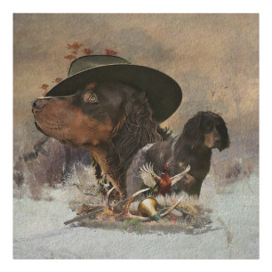 Foto Picardy Spaniel, Estação de Caça