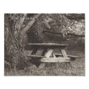 Foto Picnic