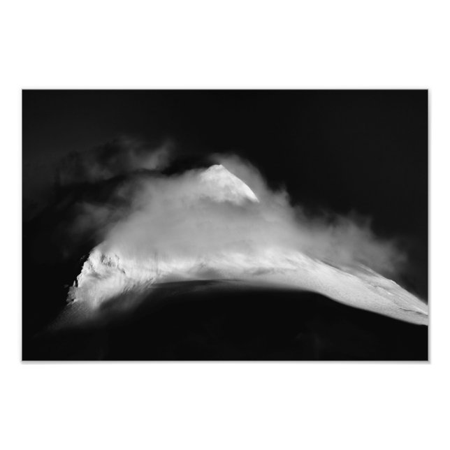 Foto Pico de aves cobertas (Frente)