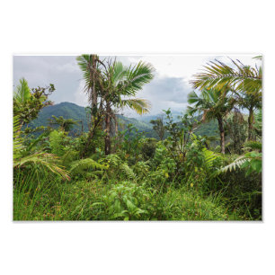 Foto Picos e vales de el yunque