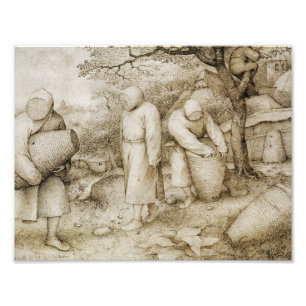 Foto Pieter Bruegel a pessoa idosa - apicultor