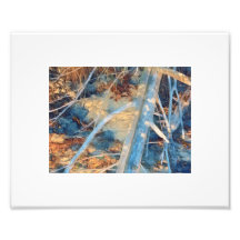 Pincel da costa russa branqueada com sol