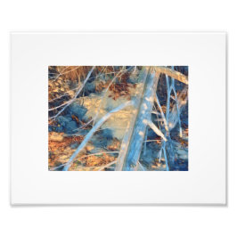 Foto Pincel da costa russa branqueada com sol