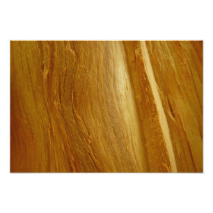 Foto Pine Wood II Faux Textura em madeira