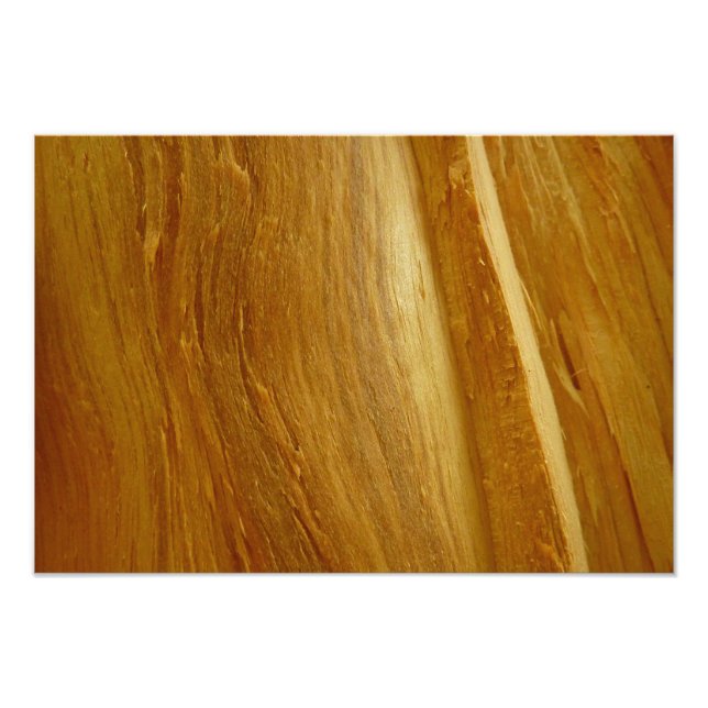Foto Pine Wood II Faux Textura em madeira (Frente)