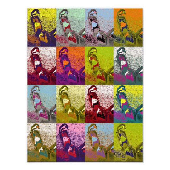 FOTO PINGUINS (Frente)