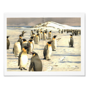 Foto Pinguins na ilustração da Antártica