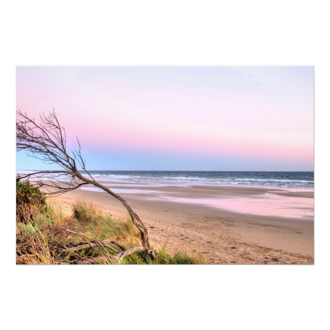 Foto Pink Sunset (Frente)