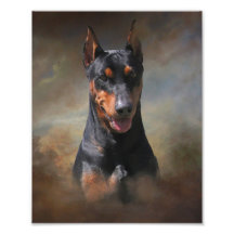 Pinscher Alemão