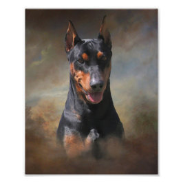 Foto Pinscher Alemão