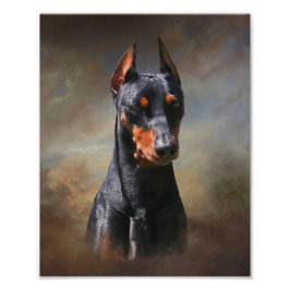 Foto Pinscher Alemão