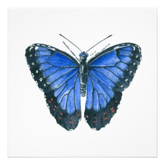 Foto Pintor aquoso da borboleta Azul Morpho