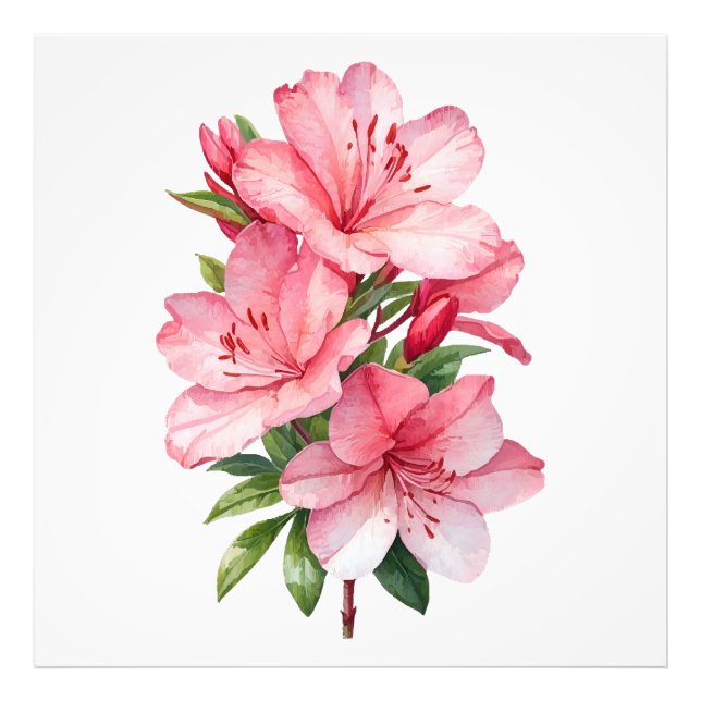 Foto Pintor de aquarela de flor Azalea (Frente)