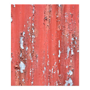 FOTO PINTURA