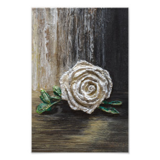 Foto Pintura Acrílica Rosa Branca