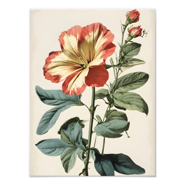 Foto Pintura da Flor de Hibisco Vermelho e Amarelo Vibr (Frente)