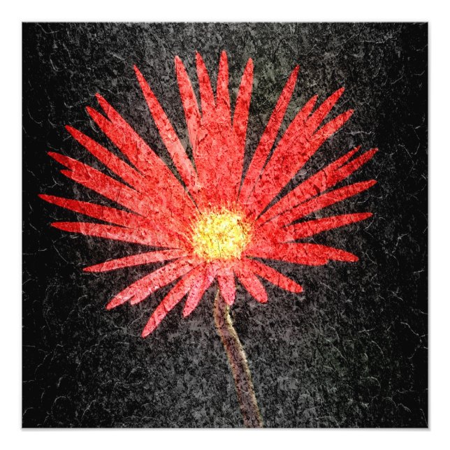 Foto Pintura da Flor Vermelha Daisy (Frente)