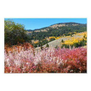 Foto Pintura da Montanha Gardiner 